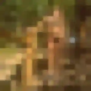 Bernadette, 29 ans, connectée à Schiltigheim pour un rencontre libertine