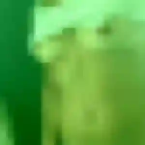 Photo sexy de Anne-Marie, 36 ans à Septèmes-les-Vallons - rencontre sans lendemain