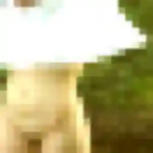 Profil de Alessandra à Souleuvre en Bocage (41 ans) - rencontre libertine gratuit