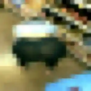 Découvre Anais, 22 ans à Sucé-sur-Erdre en t'inscrivant