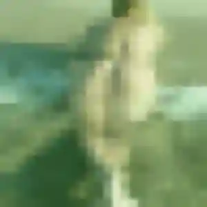 Photo exclusive de Flavia, 45 ans à Vichy - rencontre coquine