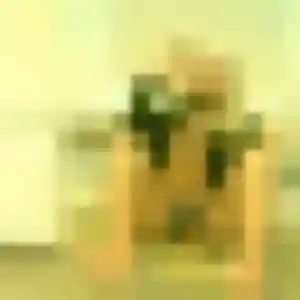 Olympe, femme de 21 ans cherche rencontre libertine à Villers-le-Lac