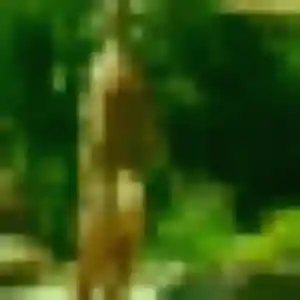 Zineb, femme de 35 ans cherche rencontre libertine à Villetaneuse