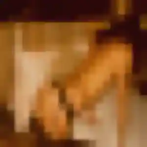 Marie-Therese, 43 ans, disponible à Wormhout pour une rencontre coquine
